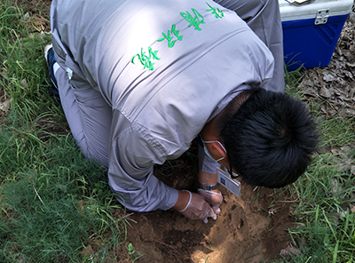 土壤治理修復技術哪種方法適合咱們土地