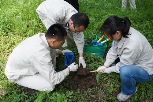 重金屬污染土壤修復(fù)策略之生物修復(fù)技術(shù)