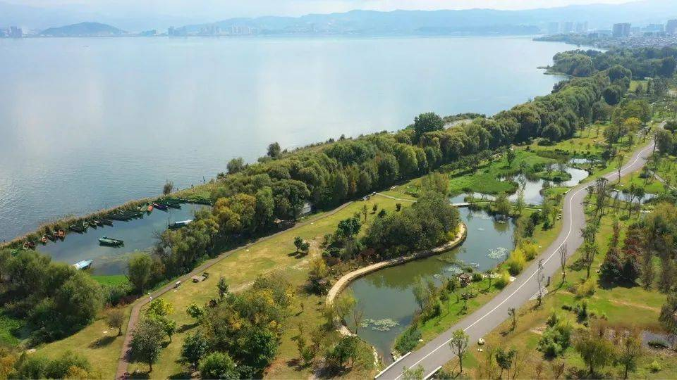 生態(tài)緩沖帶構建對于河道治理的重要性