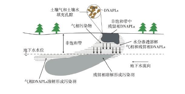 DNAPLs泄漏至地表后，受到重力作用向下遷移